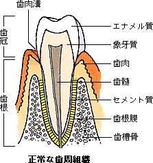 図4