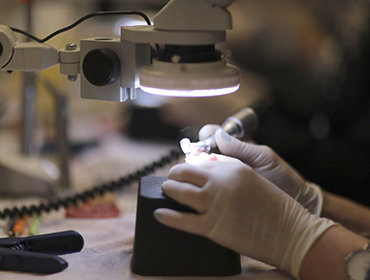 信頼できる歯科技工士との連携