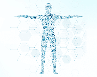 全身に影響するイメージ写真